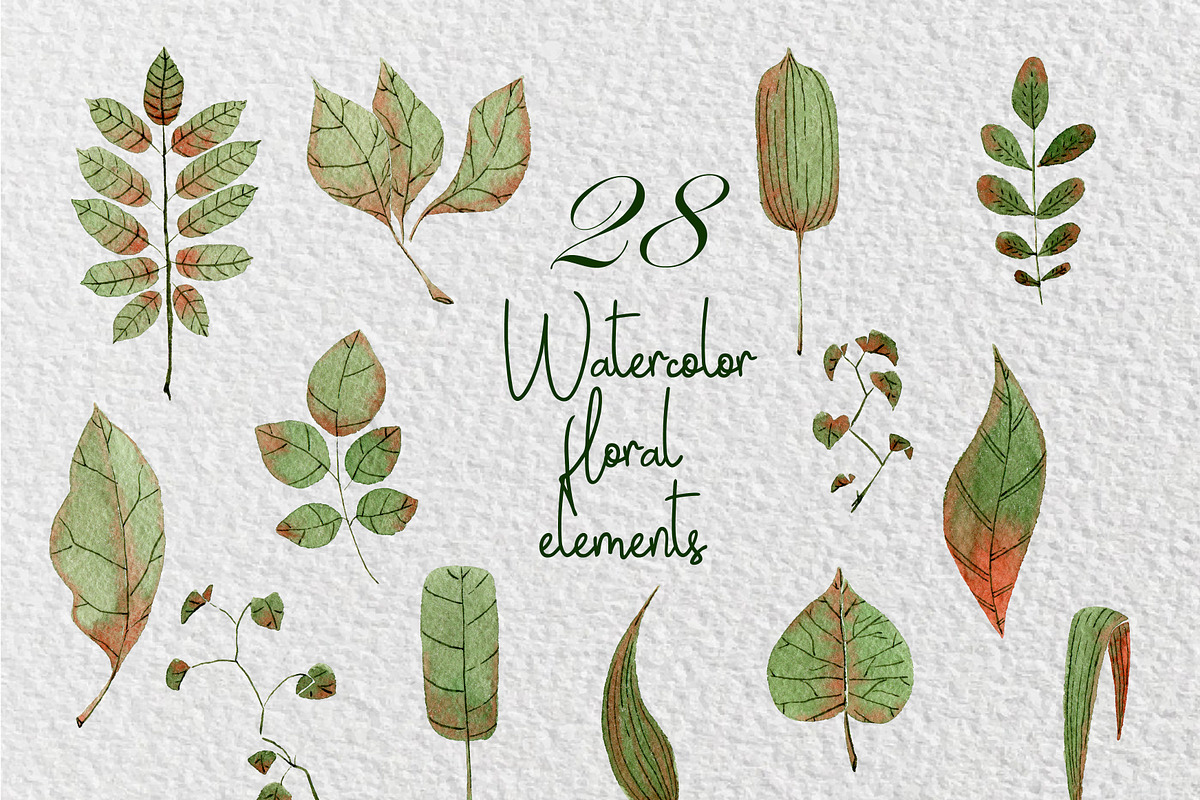 Birds&Flowers designer toolkit, an Illustration by Xenia_Art (Photo 4 of 8)