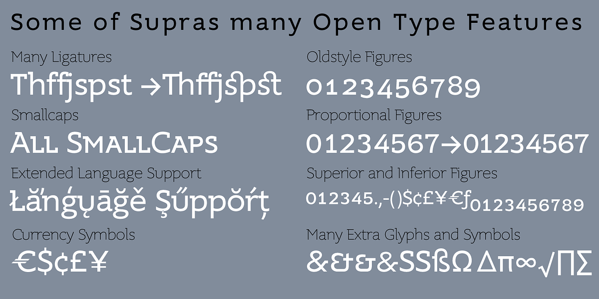 Supra Demiserif, a Slab Serif Font by Wiescher-Design (Photo 2 of 5)