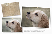 Vintage Paper I, a Texture Graphic by rileyBgraphics (Thumbnail 4 of 8)