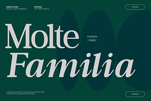 TBJ Moltefamilia Serif italic