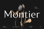 Montier Elegant Display, a Sans Serif Font by Glowtype (Thumbnail 1 of 15)