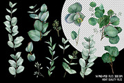 Watercolor eucalyptus leaves clipart, an Object Graphic by yana.fefelova (Thumbnail 3 of 4)
