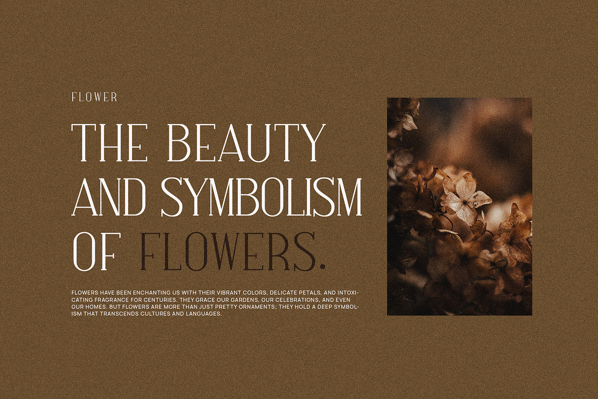 Hosline Modern Serif Font, a Serif Font by Perfectype (Photo 6 of 10)