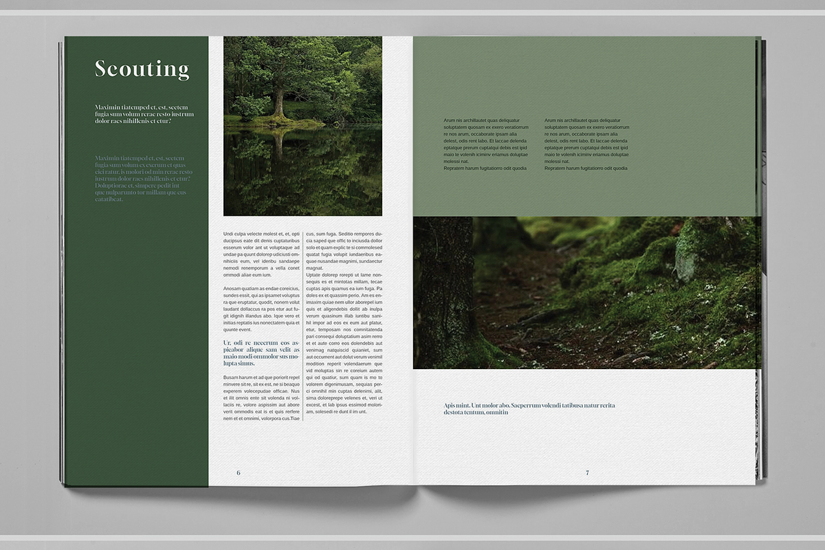 Dark Green Forest Brochure Template, a Brochure Template by Boris Cupac (Photo 5 of 7)