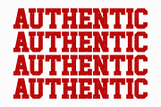 Single - Condensed Slab Serif, a Slab Serif Font by Pian45 Studio (Thumbnail 4 of 8)