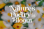 Ketinste - Elegant Serif Font, a Serif Font by TypeLogue (Thumbnail 2 of 5)
