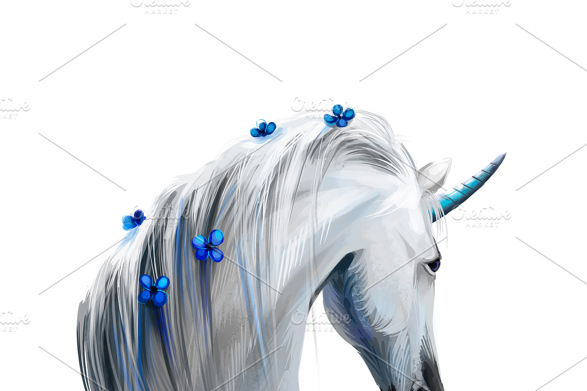 Pegasus and Unicorns 13 PSDPNG JPEG, an Animal Illustration by Dneprstock (Photo 10 of 12)