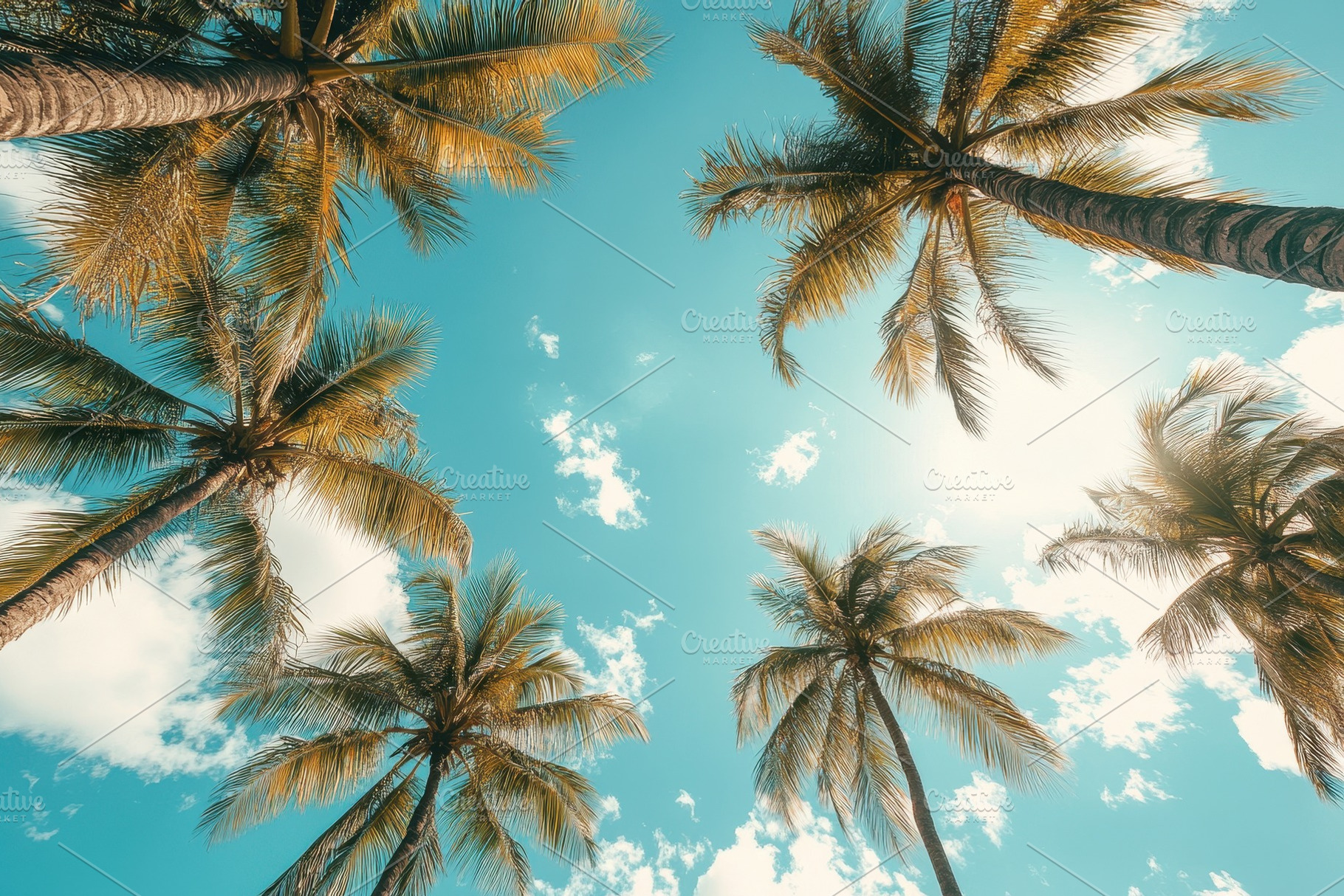 Tropical beach scene with palm trees, a Photo by Pavel_design