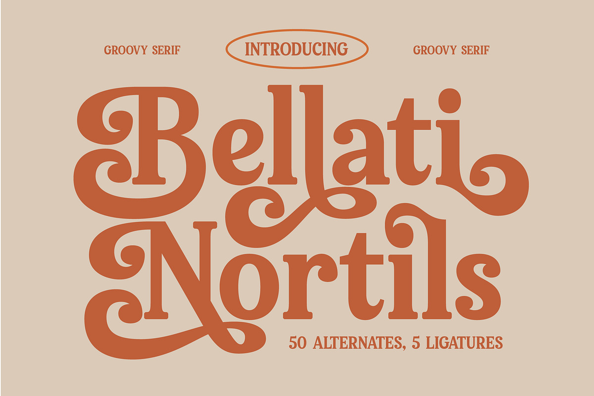Bellati Nortils Groovy Serif Font, a Serif Font by timelesstype.co (Photo 1 of 20)