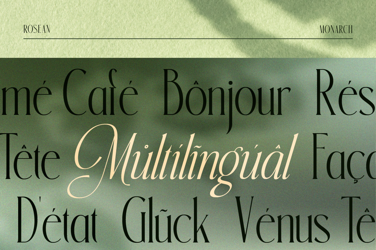 Rosean Monarch, a Serif Font by Burntilldead (Photo 11 of 12)