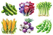 Watercolor Vegetable Collection Clip, an Illustration by Daily.Designs (Thumbnail 2 of 5)