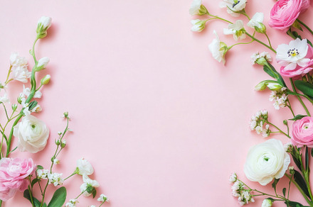 Light pink floral banner creates, a Photo by Pavel_design