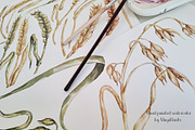 Watercolor Wheat & Field Flora, a Decorative Illustration by MayaNavits (Thumbnail 12 of 13)