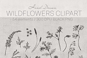 wildflowers clipart, a Decorative Illustration by JULIA x JULIE's ART (Thumbnail 4 of 5)