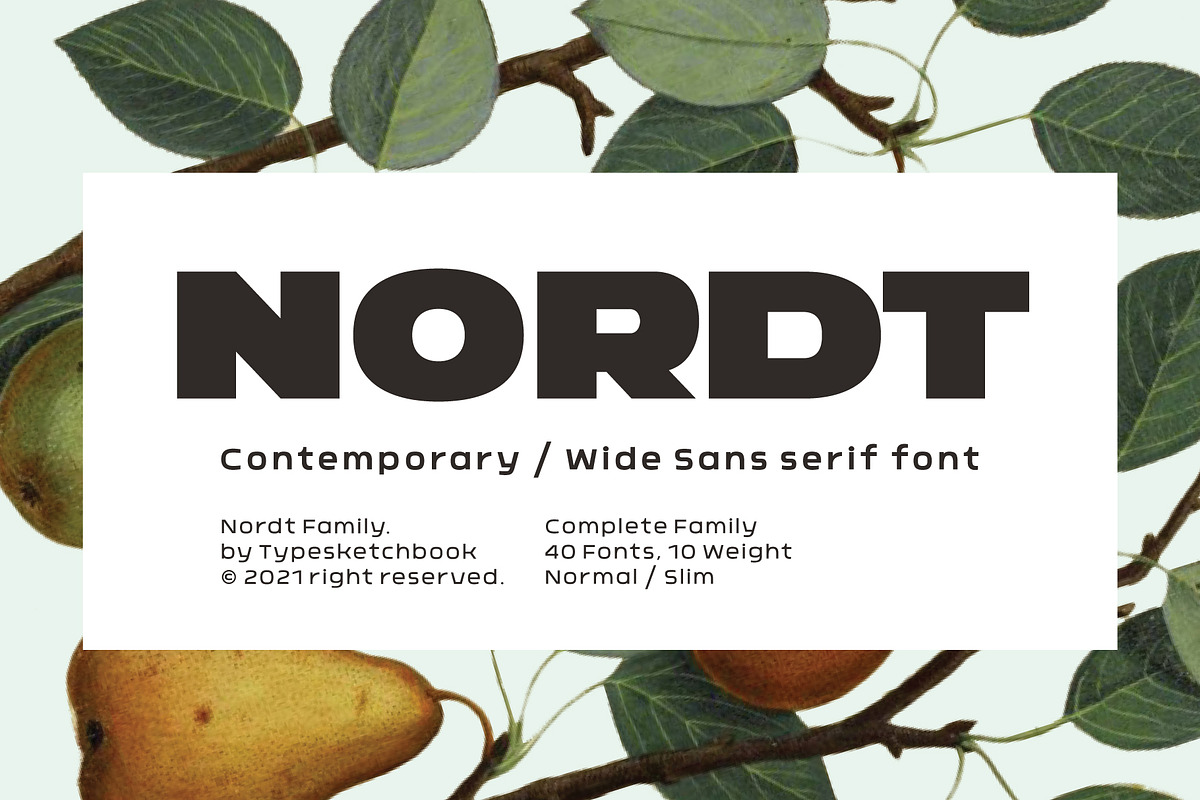 Nordt, a Sans Serif Font by Typesketchbook Foundry (Photo 1 of 5)