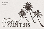 Tropical Palm Tree Silhouettes, an Object Illustration by TheMountBirdStudio (Thumbnail 1 of 6)