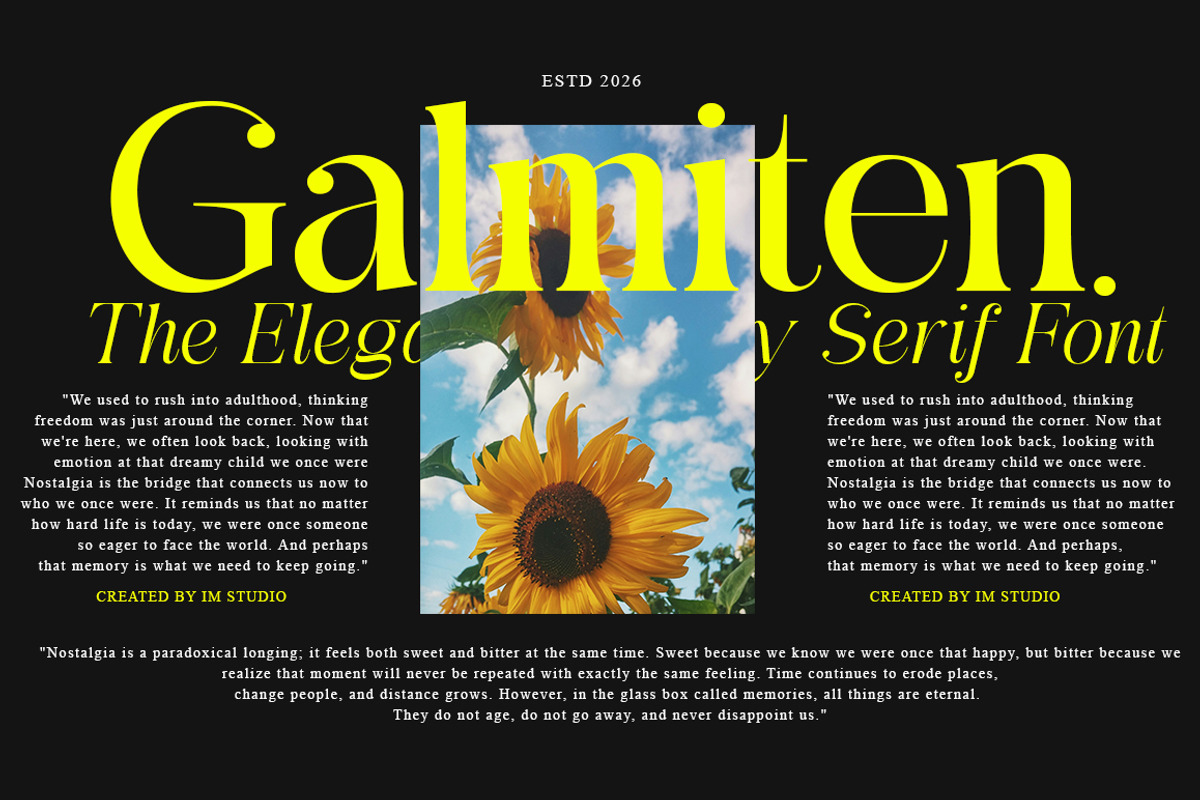 Galmiten | 243 Font Styles, a Serif Font by IM Studio (Photo 5 of 12)