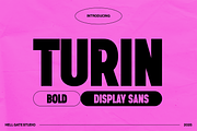 Turin Modern Sans Display, a Sans Serif Font by GRVS Studio (Thumbnail 8 of 14)