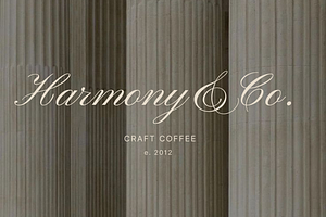 Harmony Logo Template Canva