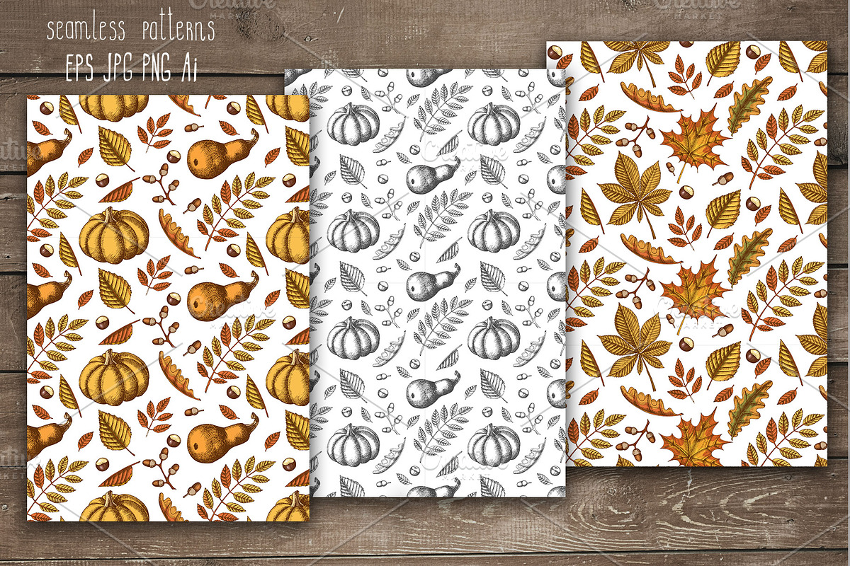 Pumpkins and Leaves Set, an Illustration by Tabiti (Photo 12 of 14)