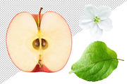 Red apples, an Object Graphic by Fruits+Veggies (Thumbnail 7 of 8)