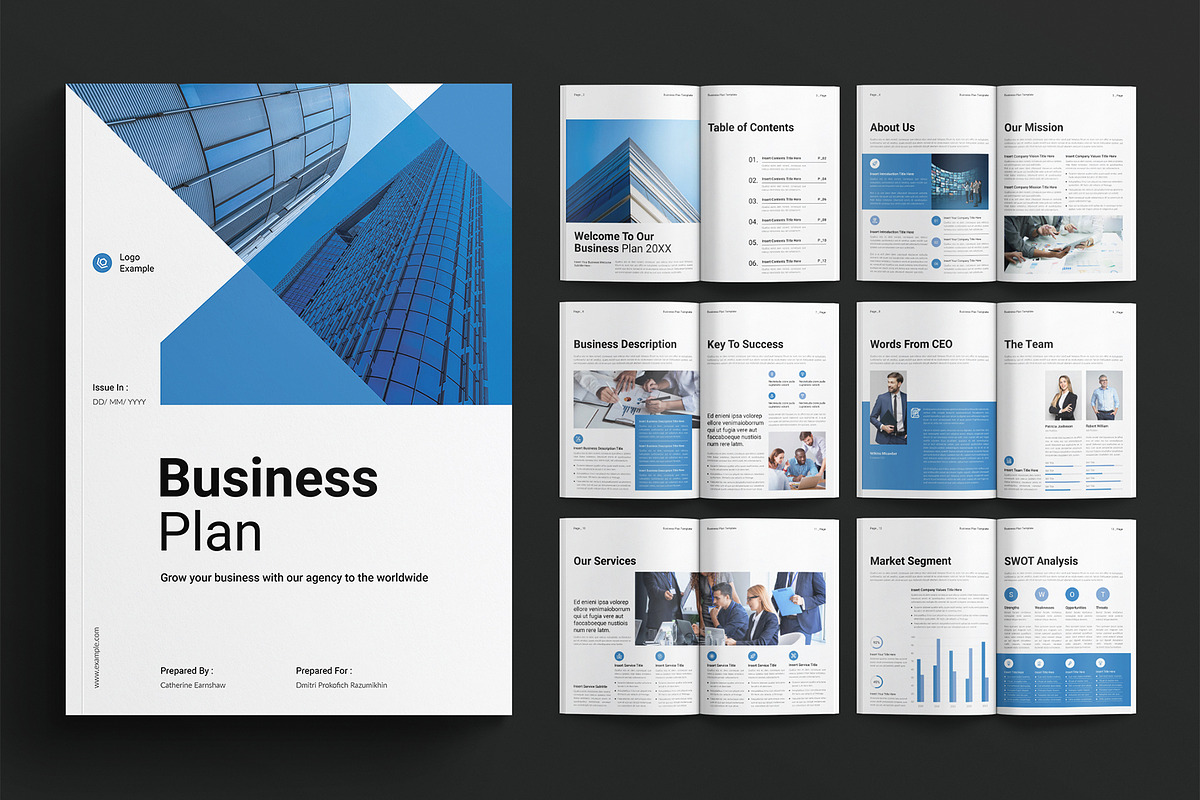 Business Plan Template, a Brochure Template by E-Type (Photo 1 of 7)