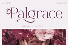 Palgrace Modern Serif Typeface Font