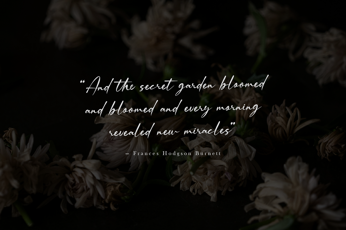 Rentosah | Elegant Signature Script, a Script Font by gracetype_studio (Photo 3 of 12)