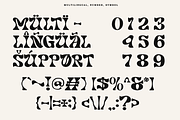 Noradya - Stylish Serif Font, a Serif Font by Font Liner (Thumbnail 12 of 12)