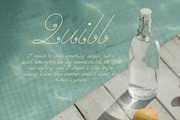 Quill - Elegant Script Font, a Script Font by Mneme (Thumbnail 3 of 8)