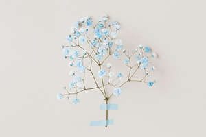 Minimal photo from floral series wit, an Abstract Photo by Edalin's Store