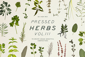 Pressed Dry Herbs Vol.3