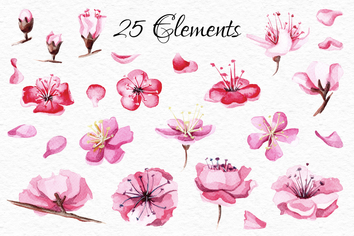 Watercolor Sakura blossom collection, an Object Graphic by Satika (Photo 5 of 9)