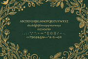 Jessie Buckley Font, a Serif Font by gafaroff studio (Thumbnail 5 of 5)