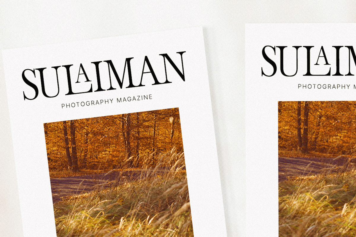 The Stripes Editorial + Italics, a Serif Font by Stripes Studio (Photo 13 of 23)
