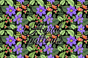 Floral patterns with clematis., a Pattern Graphic by MarinaVorontsova (Thumbnail 7 of 8)