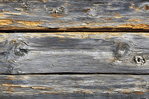 Weathered Wooden Log Texture with Natural Knots and Cracks, a Background Photo by Photostock