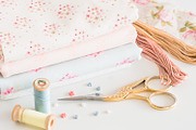 Stock Photo Bundle - Light Pink, a Background Photo by Savvy Stock Shop (Thumbnail 7 of 11)