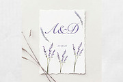 Lavender clipart, flowers clipart, an Object Graphic by MajorArtTm (Thumbnail 3 of 6)