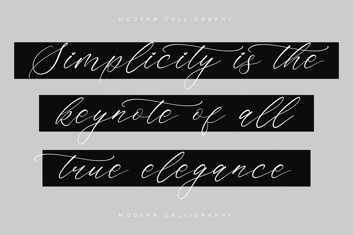 Saltngos Modern Calligraphy, a Script Font by Letterena Studios Script (Photo 2 of 15)