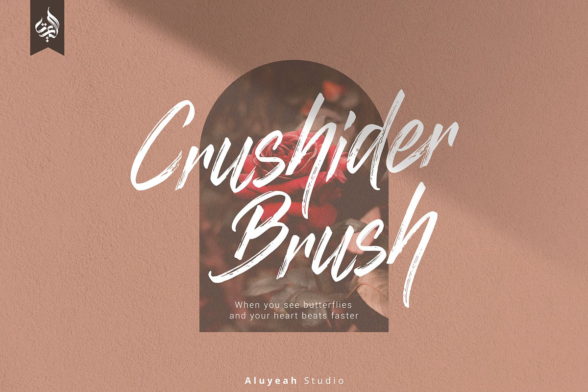 Crushider Brush, a Script Font by Aluyeah Studio (Photo 1 of 14)