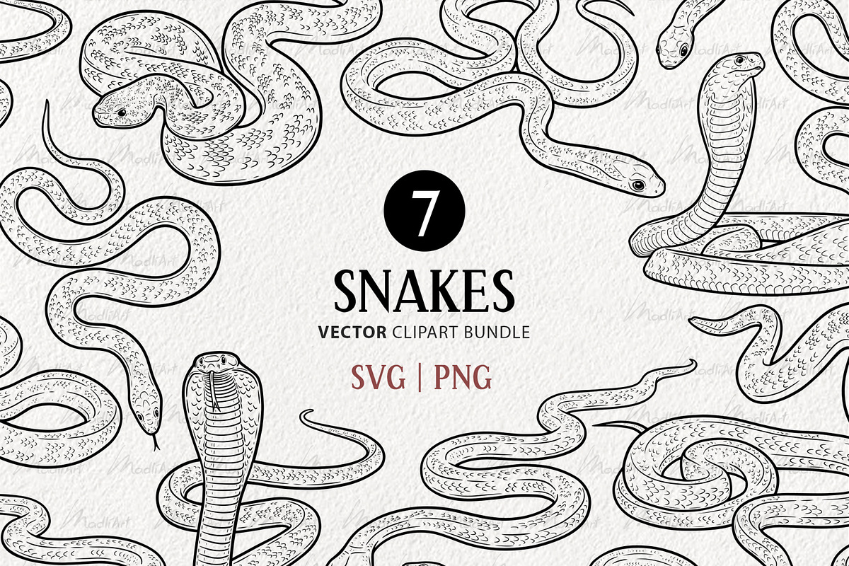 Snake Reptile Vector Line Art Set, an Animal Illustration by MadliArt (Photo 1 of 4)