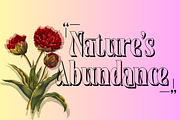 Sparked Extra - Ligature Serif Font, a Serif Font by 177Studio (Thumbnail 4 of 8)