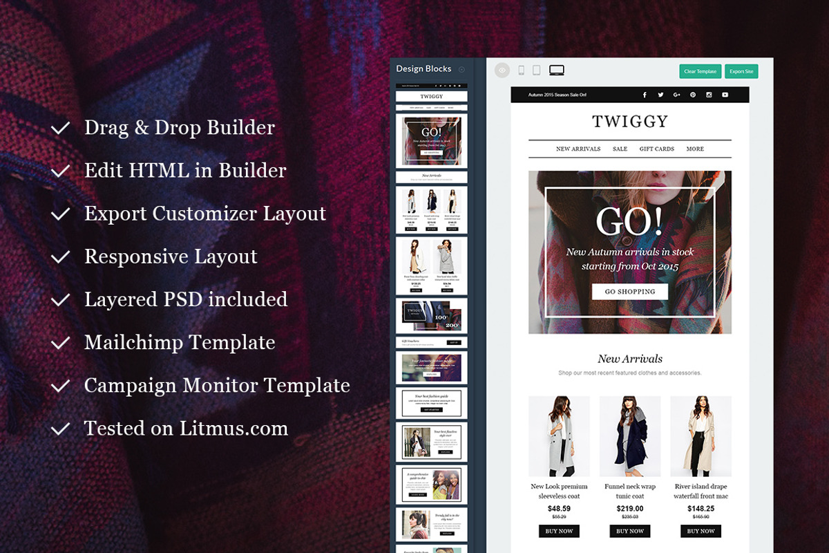 Twiggy E-Newsletter + Builder Access, an Email Template by NancyS (Photo 2 of 2)