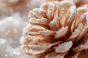 Snowy pine cone decor, a Photo by Beautiful things