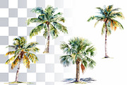 8 Palm Trees Watercolor Clipart, a Seasonal Illustration by Loony Dream Designs (Thumbnail 4 of 7)
