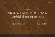 Galliget Modern Serif Font, a Serif Font by Perfectype (Thumbnail 8 of 8)