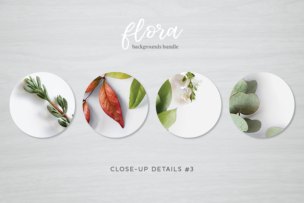 Flora Backgrounds Bundle, a Social Media Template by Julia Jane Creative (Photo 5 of 6)