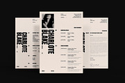Professional CV, Resume Template, a Resume Template by DesignCrest (Thumbnail 6 of 9)
