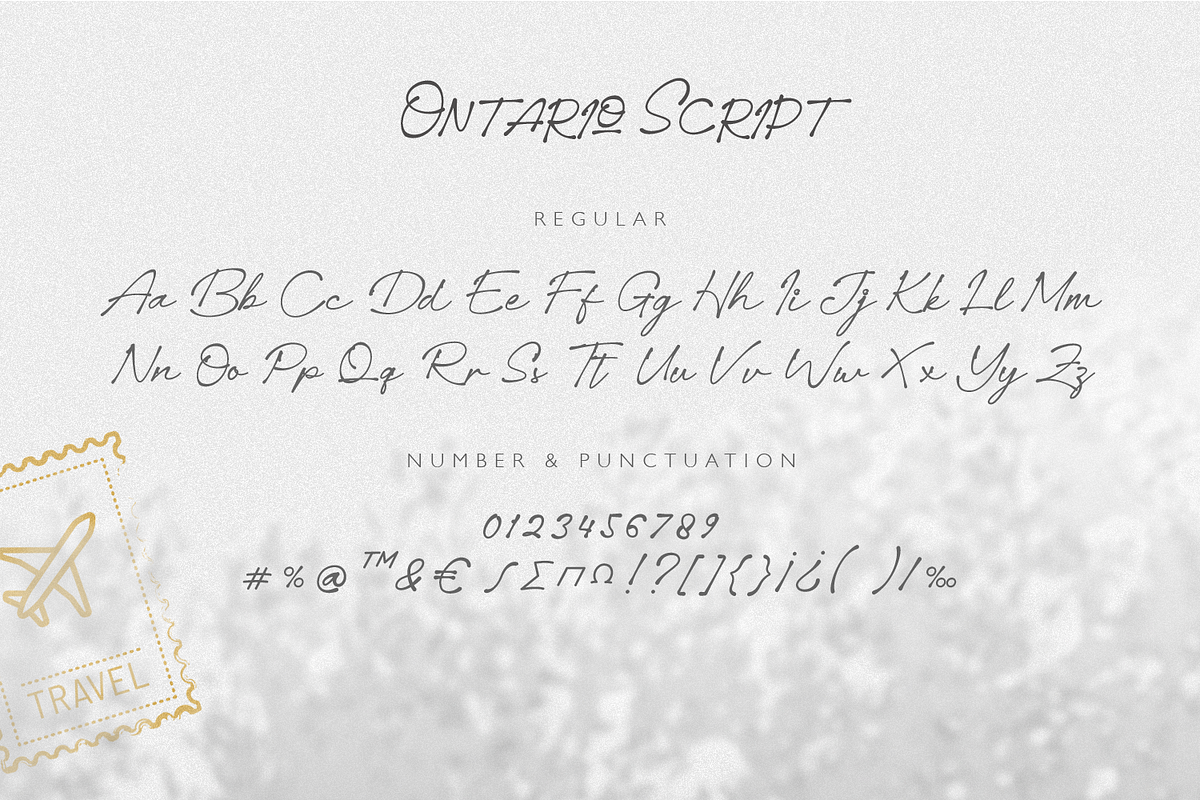 Ontario Script, a Script Font by FactoryType Studio (Photo 6 of 12)